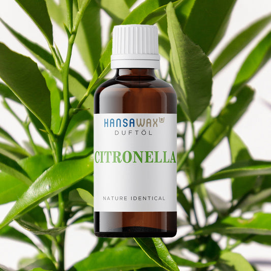 Naturidentisches Duftöl: Citronella