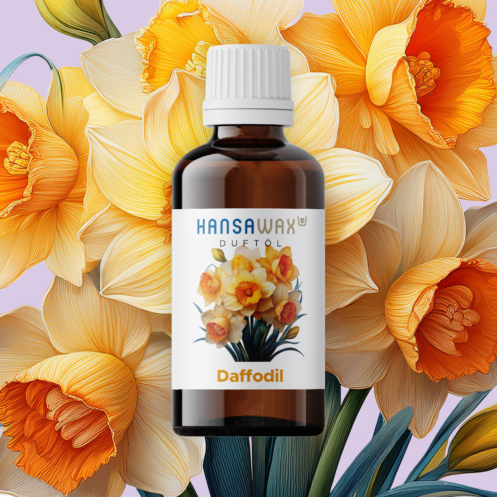 Duftöl: Daffodil – Hansawax GmbH
