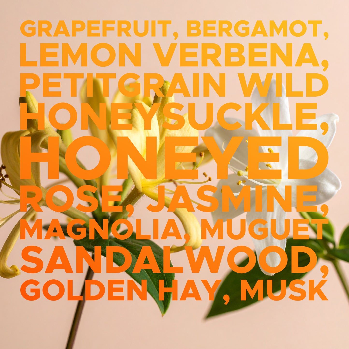 Earth First Duftöl: Golden Honeysuckle & Jasmine