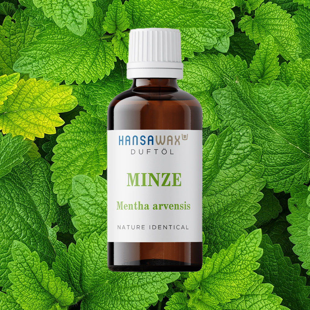 Pure natural fragrance oil: Mint - Mentha Arvensis