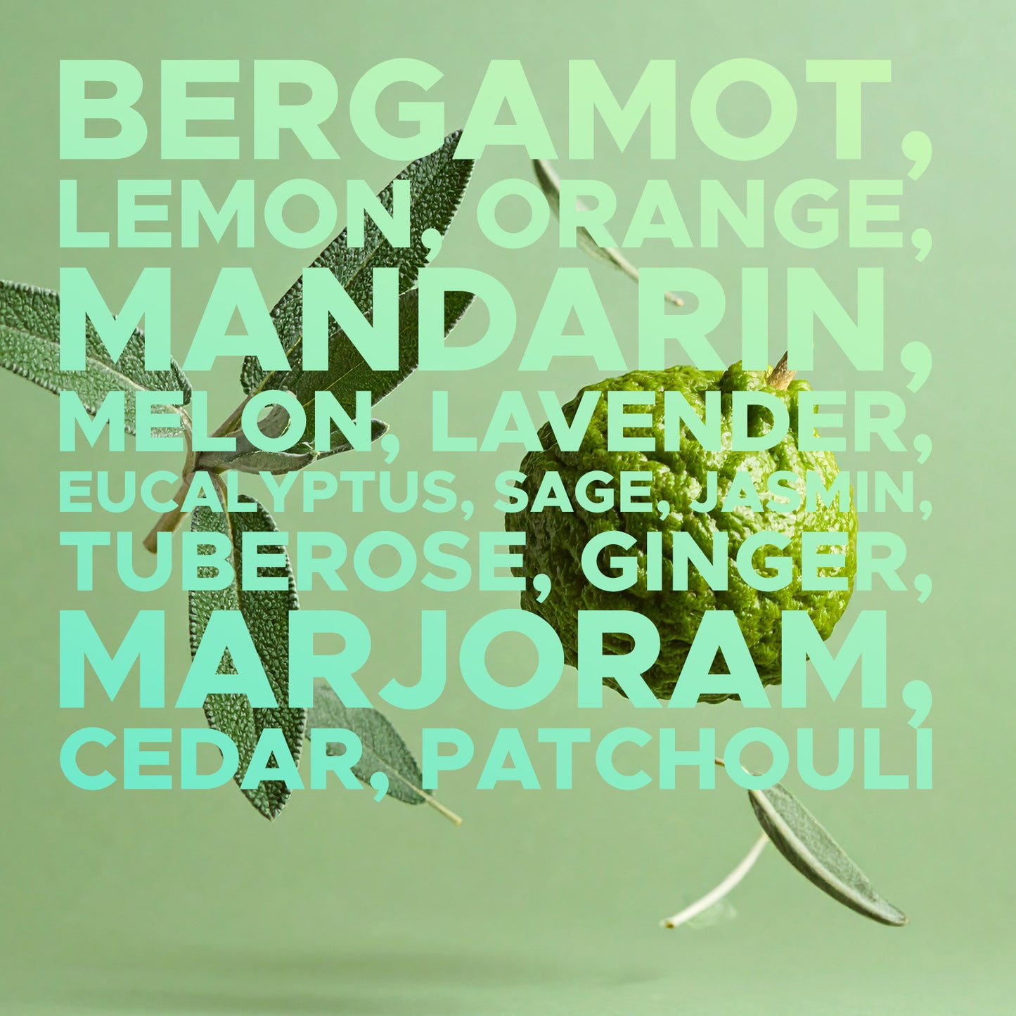 Earth First Duftöl: Wild Sage & Bergamot