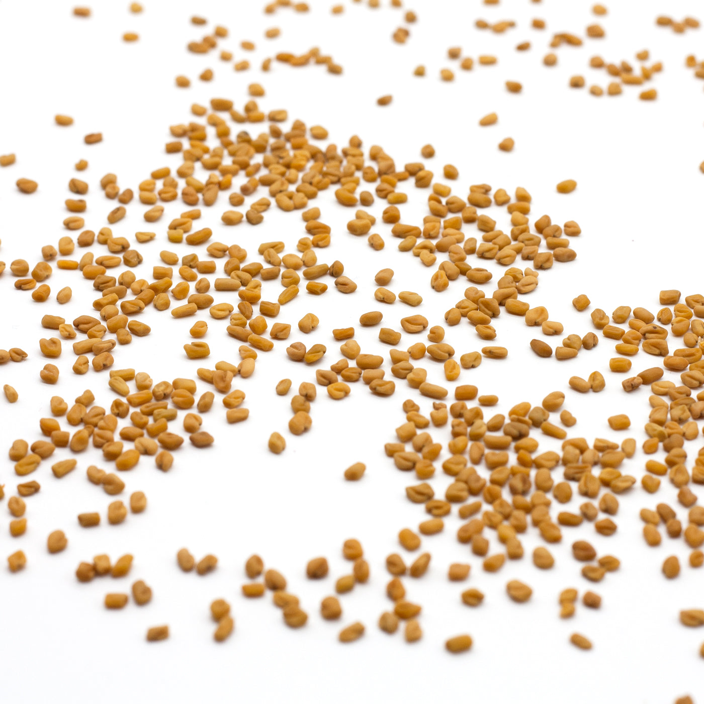 Getrocknete Bockhornsamen zur Dekoration von selbstgemachte Kerzen