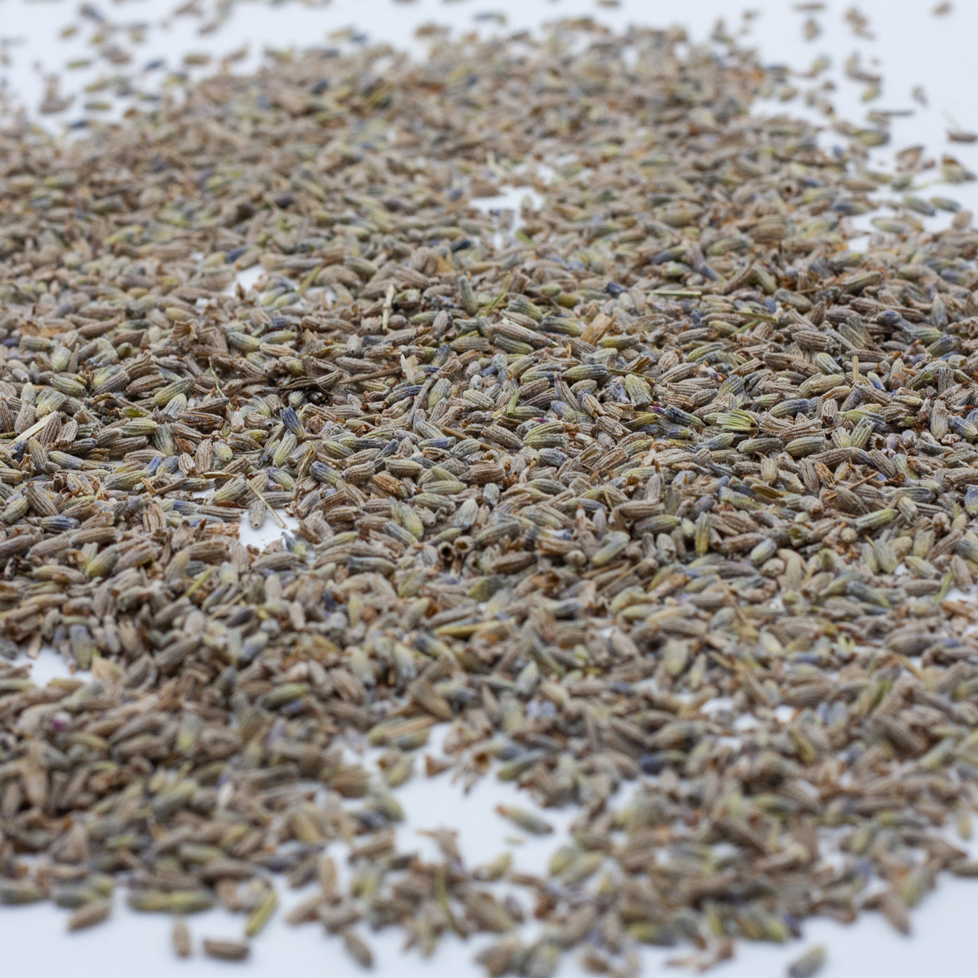 Lavendel getrocknet zum dekorieren von selbstgemachte Kerzen