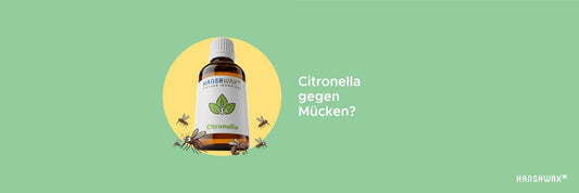 Citronella-Kerzen im Sommer: Warum der frische Duft so beliebt gegen Mücken ist