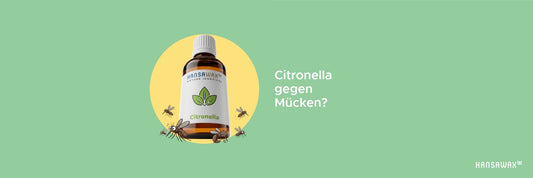 Citronella-Kerzen im Sommer: Warum der frische Duft so beliebt gegen Mücken ist