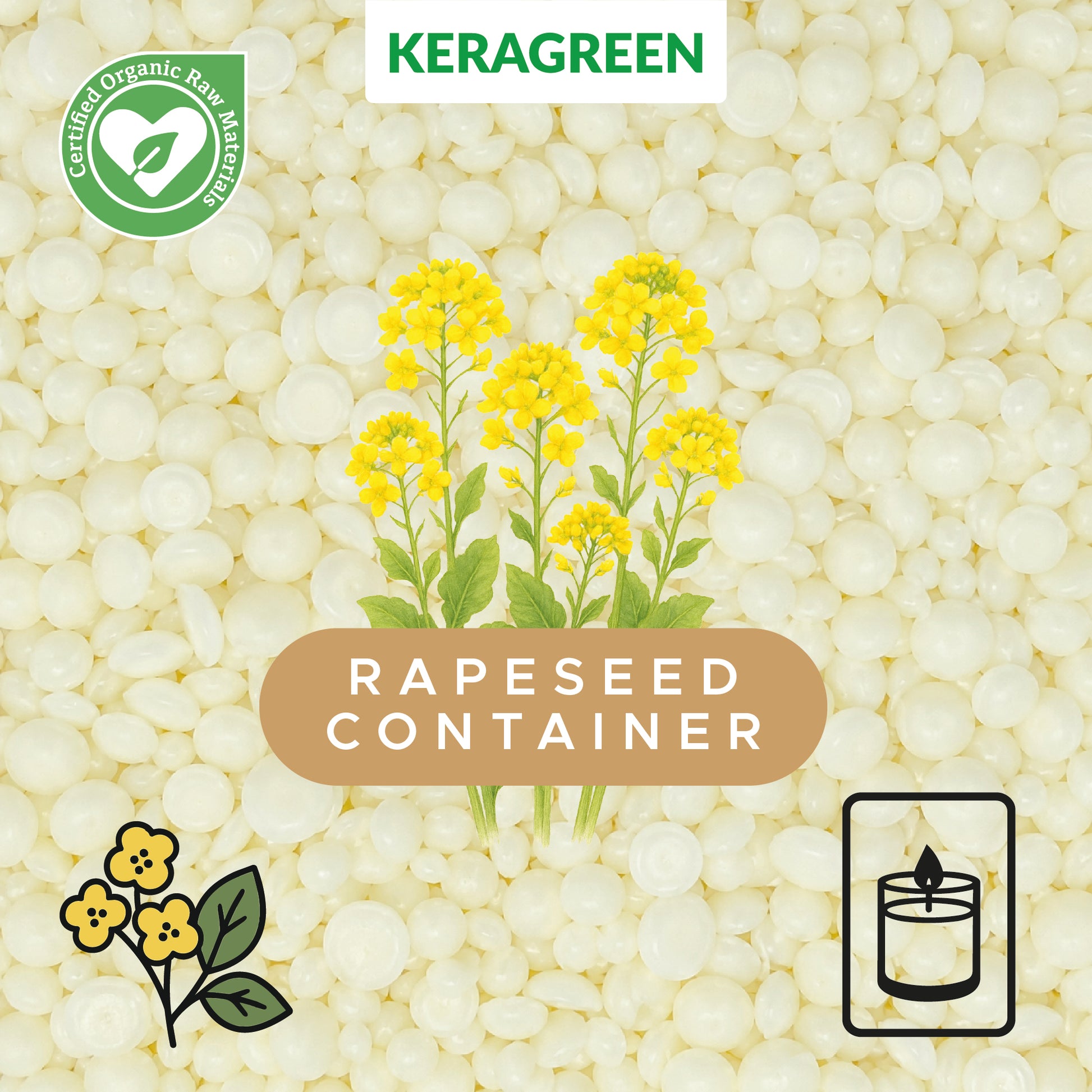 Bio-Rapswachs für Behälterkerzen 'Keragreen Rapeseed Container'
