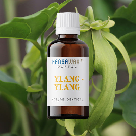 Huile parfumée identique à la nature : Ylang-Ylang 